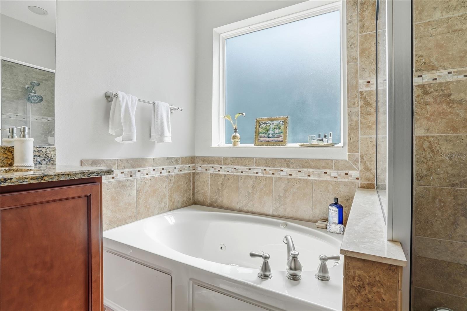 5401 MATCH POINT PL, LITHIA, FL, 33547