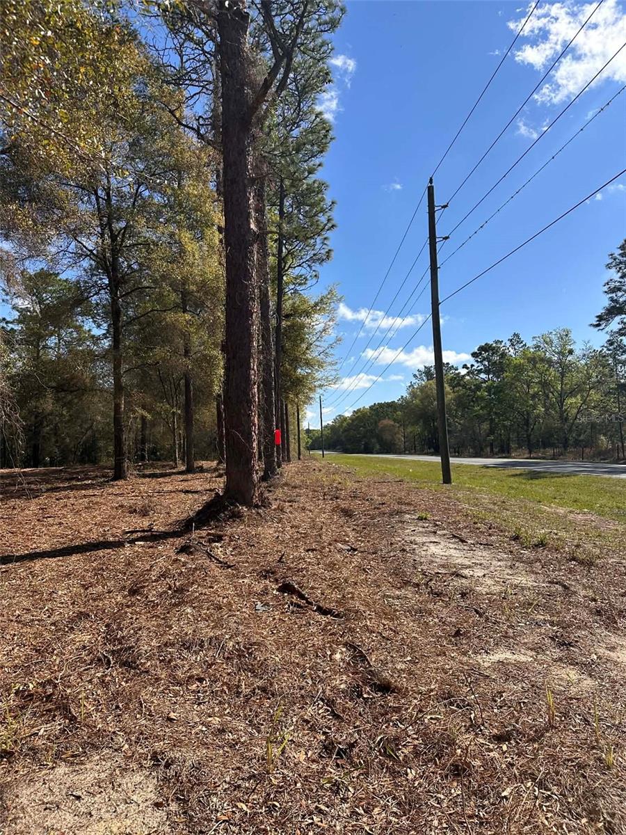 0 W HWY 40, OCALA, FL, 34481