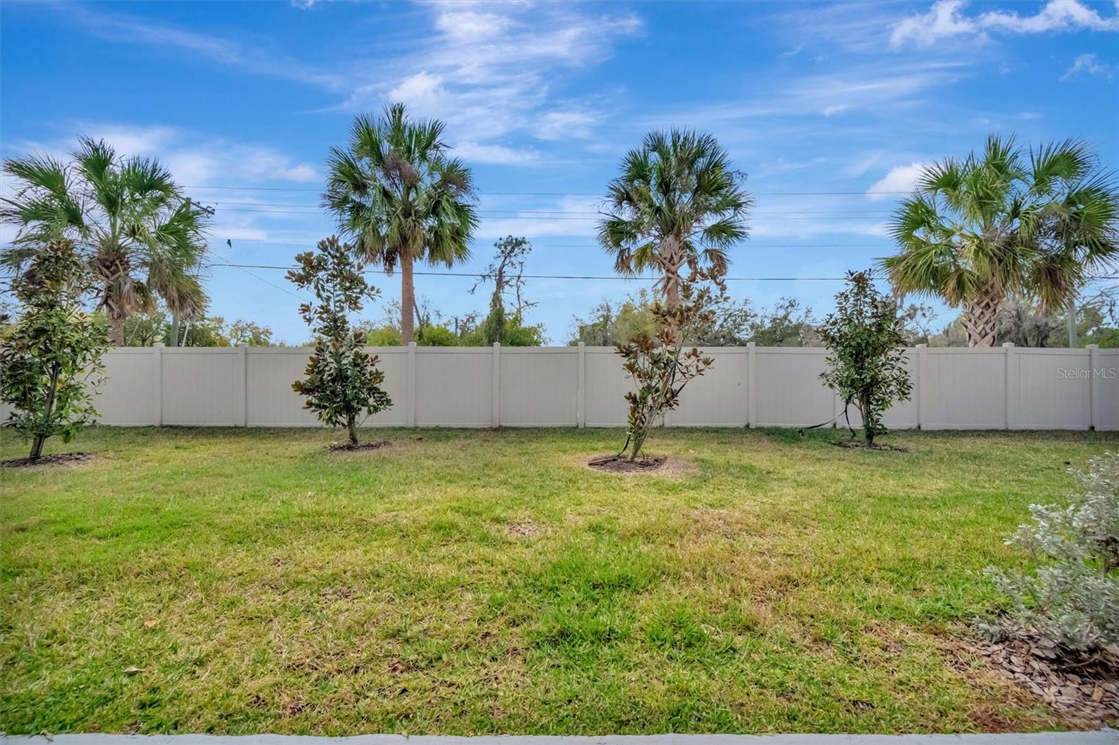 17436 HOLLY WELL AVE, WIMAUMA, FL, 33598