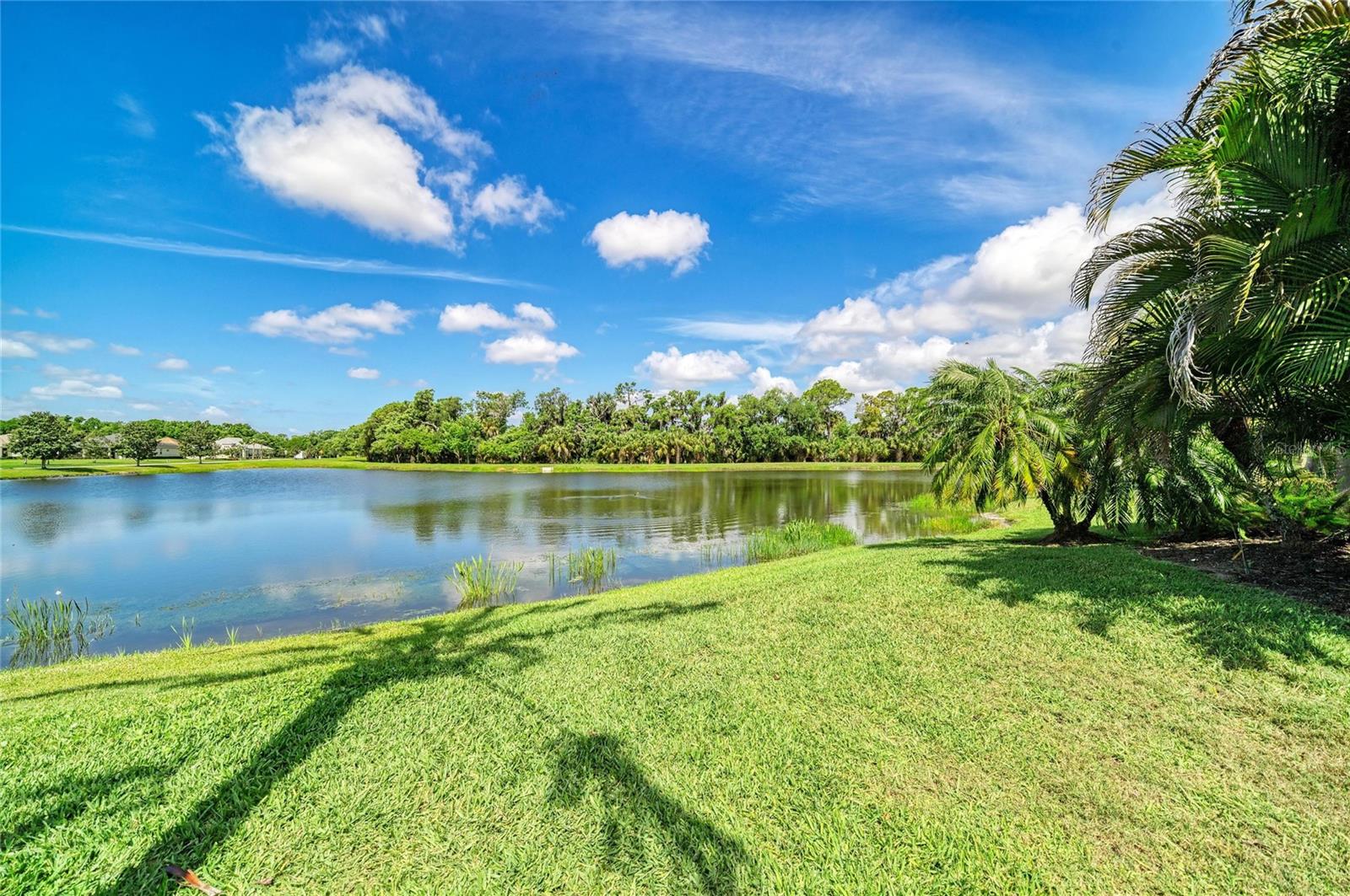 826 HONEYFLOWER LOOP, BRADENTON, FL, 34212