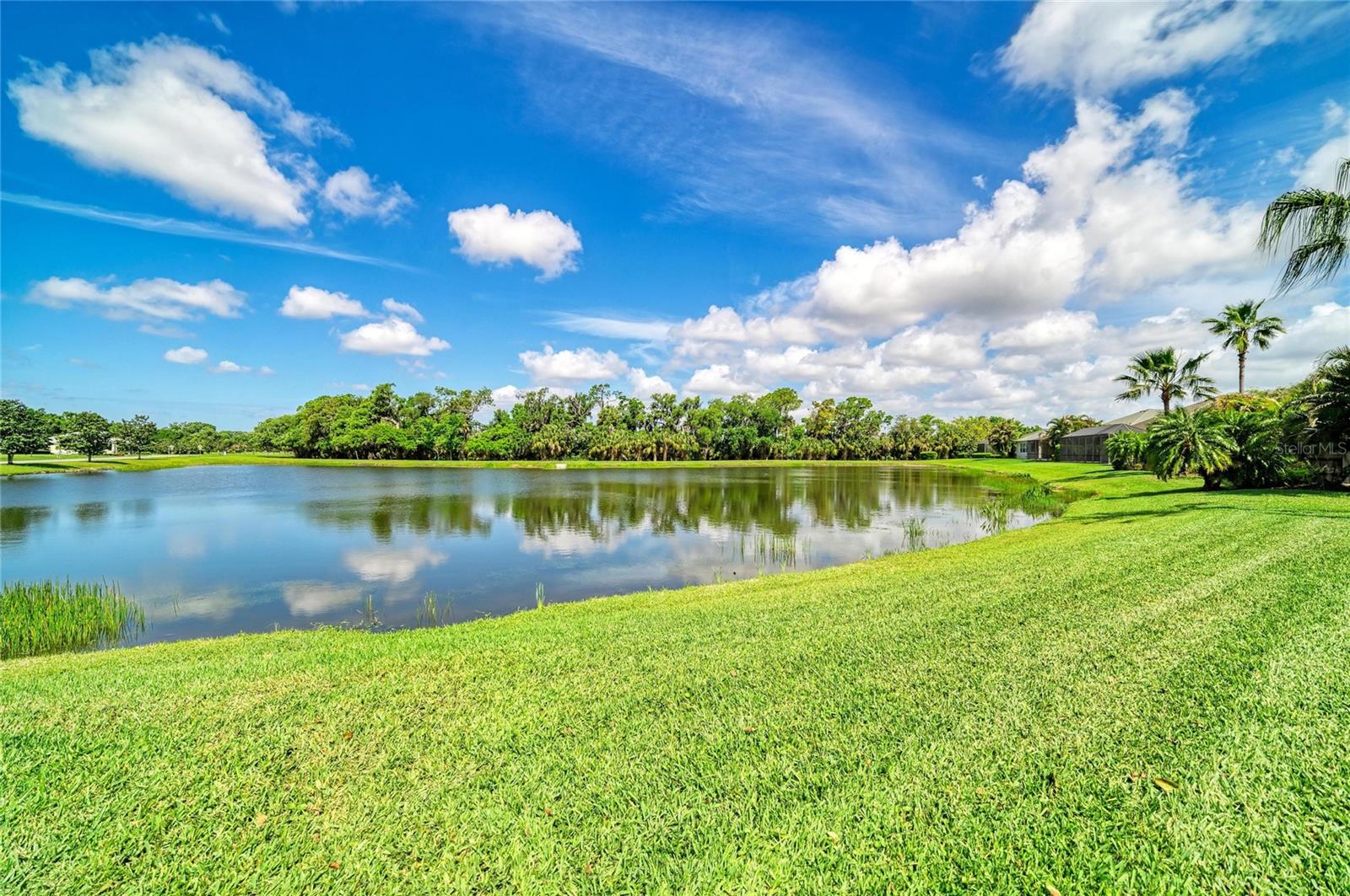 826 HONEYFLOWER LOOP, BRADENTON, FL, 34212