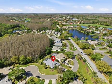 4308 AVENUE CANNES, LUTZ, FL, 33558