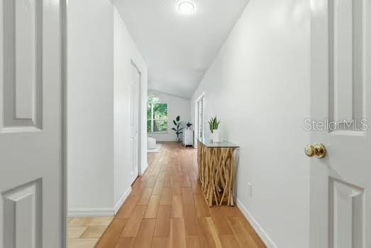 4308 AVENUE CANNES, LUTZ, FL, 33558