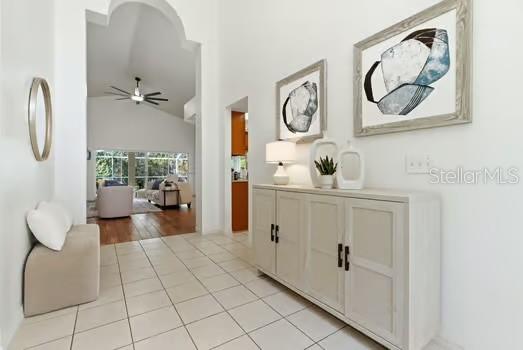 4308 AVENUE CANNES, LUTZ, FL, 33558