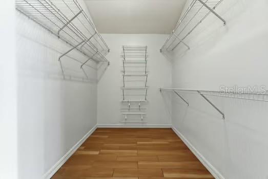 4308 AVENUE CANNES, LUTZ, FL, 33558