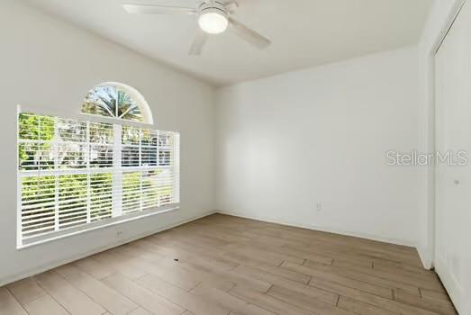 4308 AVENUE CANNES, LUTZ, FL, 33558