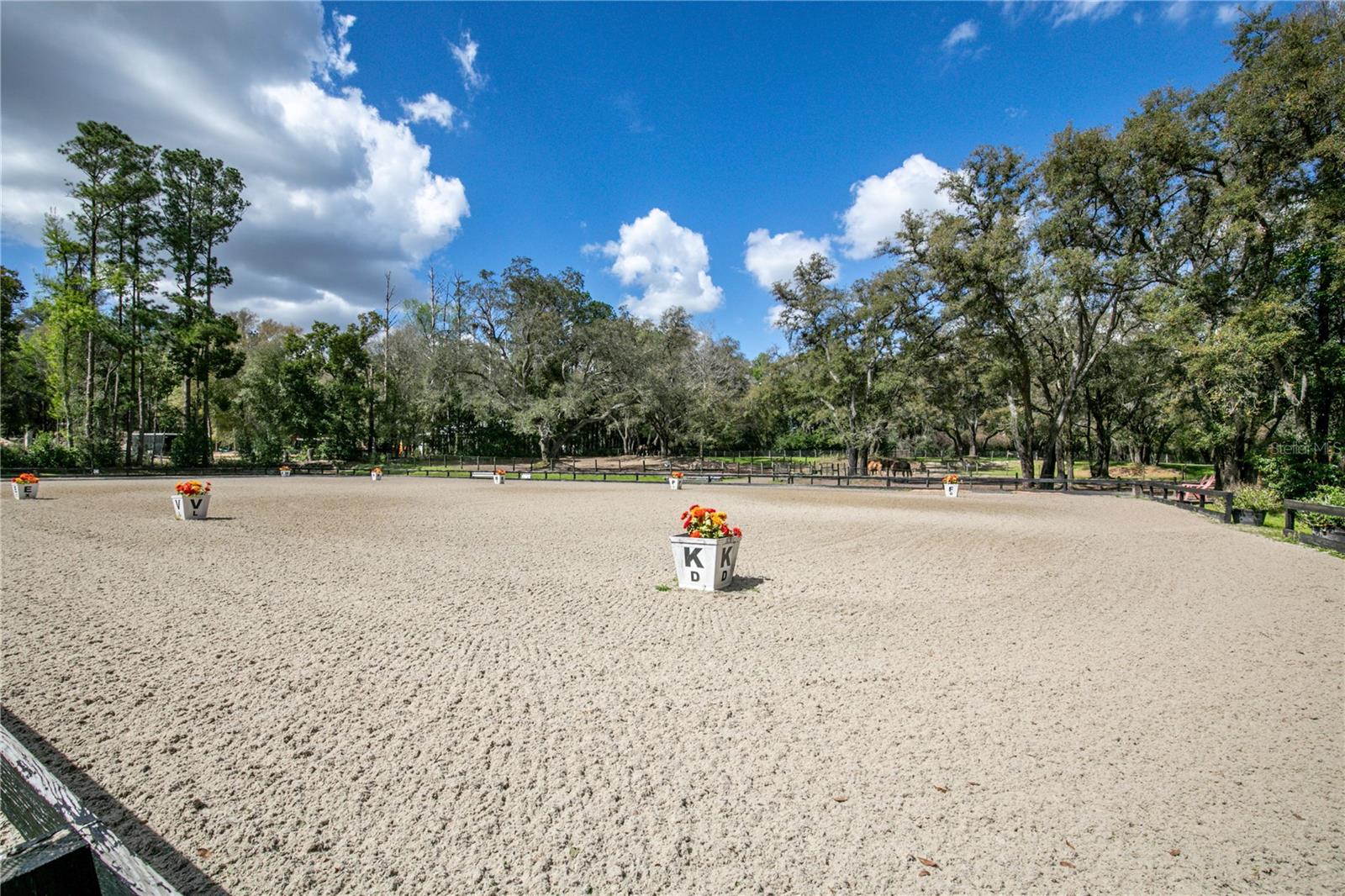 22301 CORONADO SOMERSET DR, SORRENTO, FL, 32776