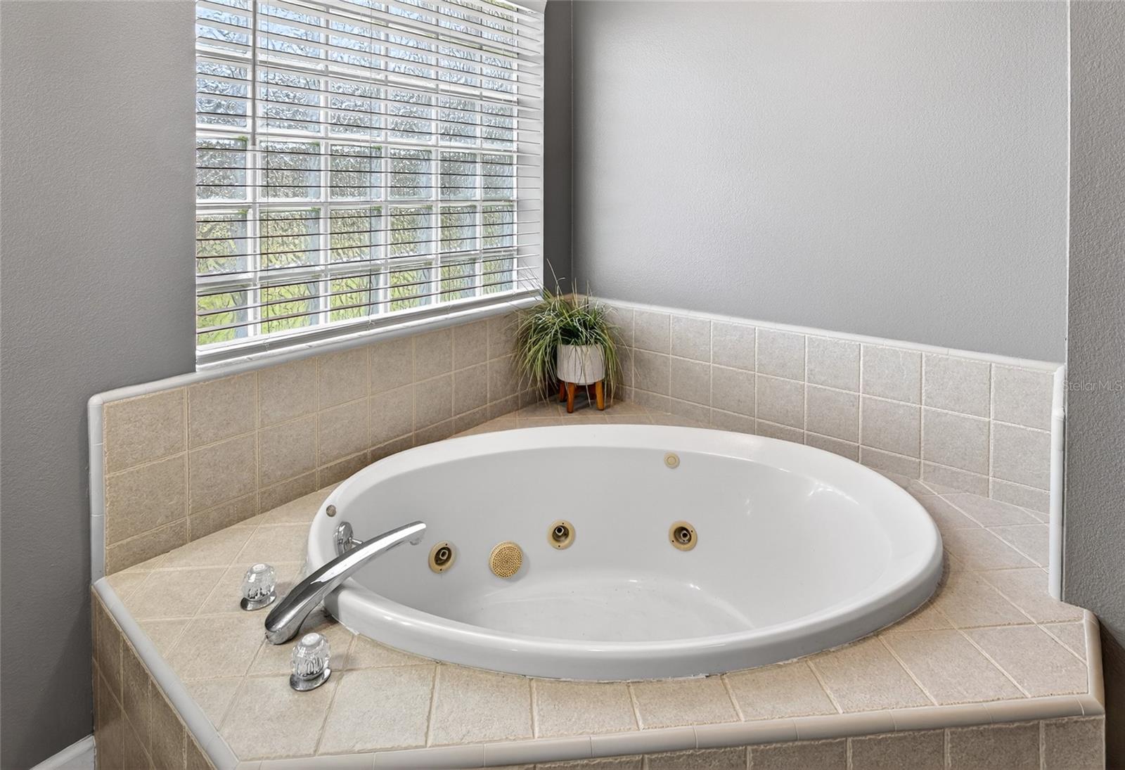 22301 CORONADO SOMERSET DR, SORRENTO, FL, 32776