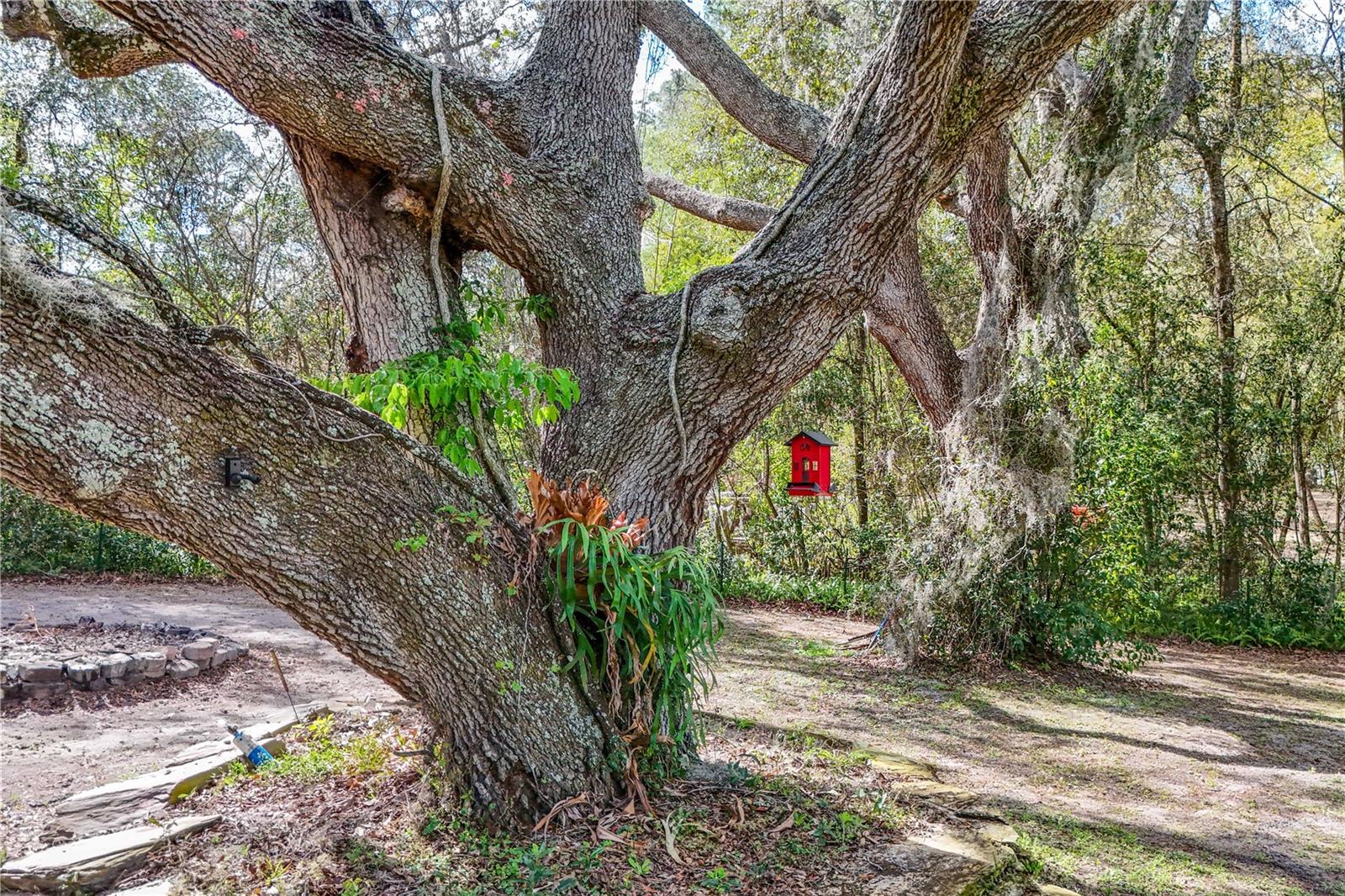 22301 CORONADO SOMERSET DR, SORRENTO, FL, 32776