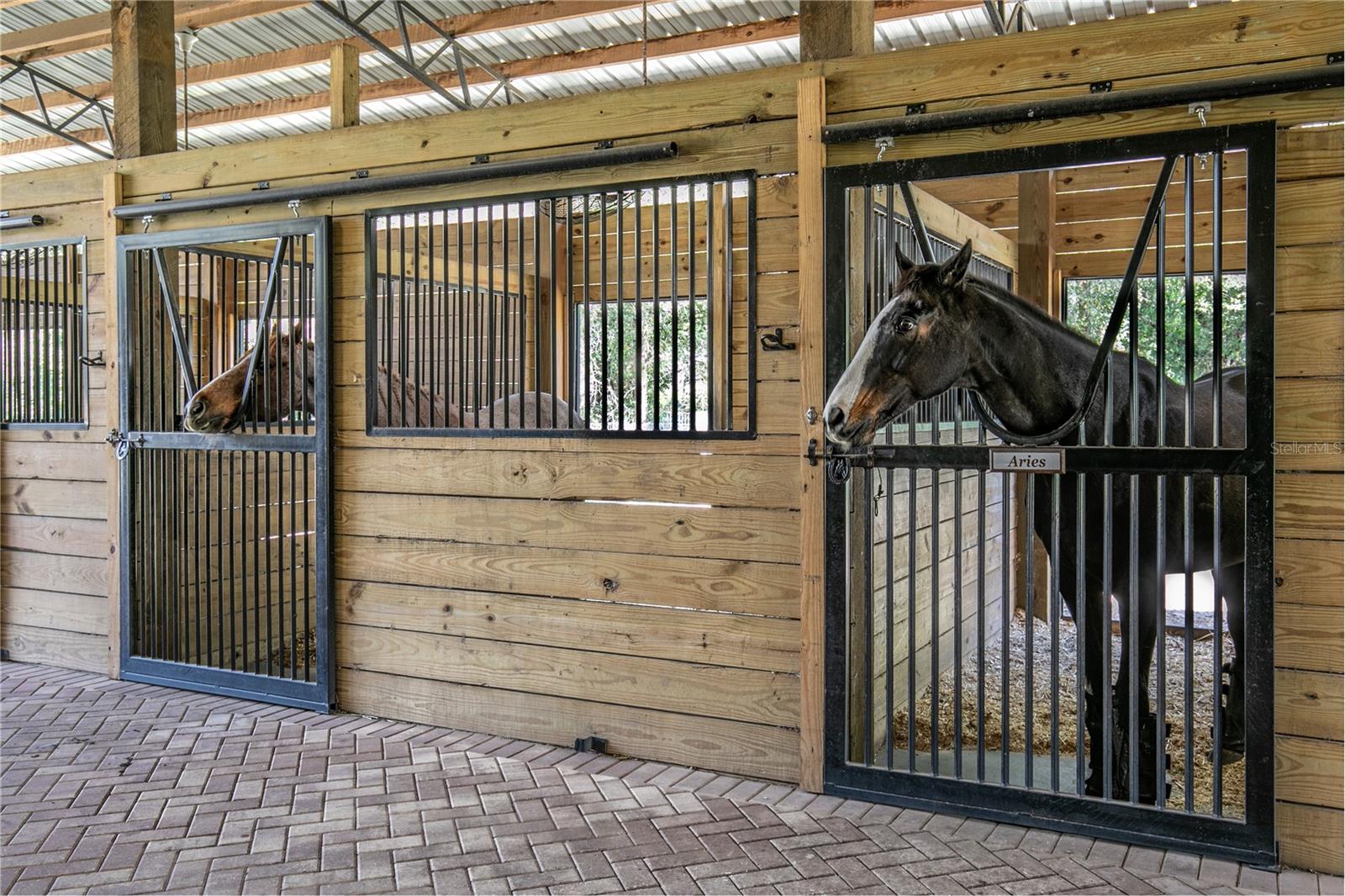 22301 CORONADO SOMERSET DR, SORRENTO, FL, 32776