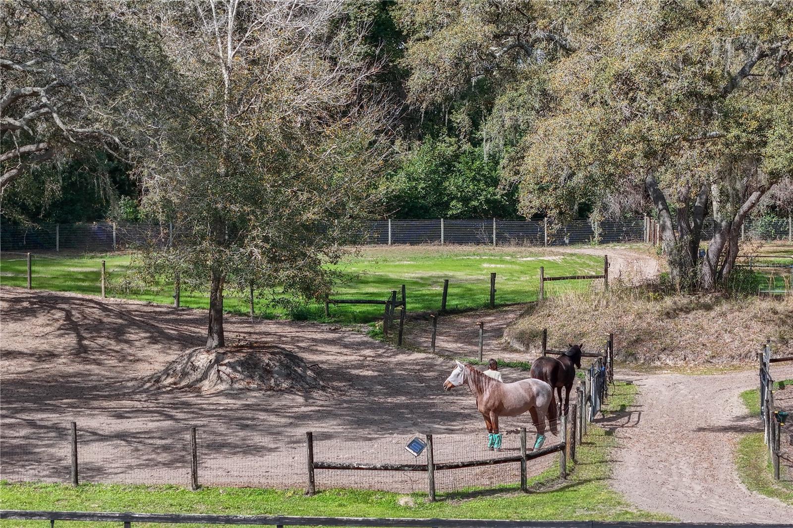 22301 CORONADO SOMERSET DR, SORRENTO, FL, 32776