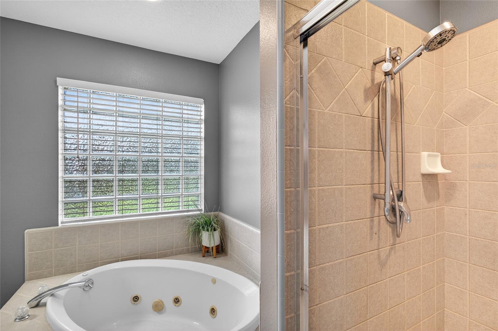 22301 CORONADO SOMERSET DR, SORRENTO, FL, 32776