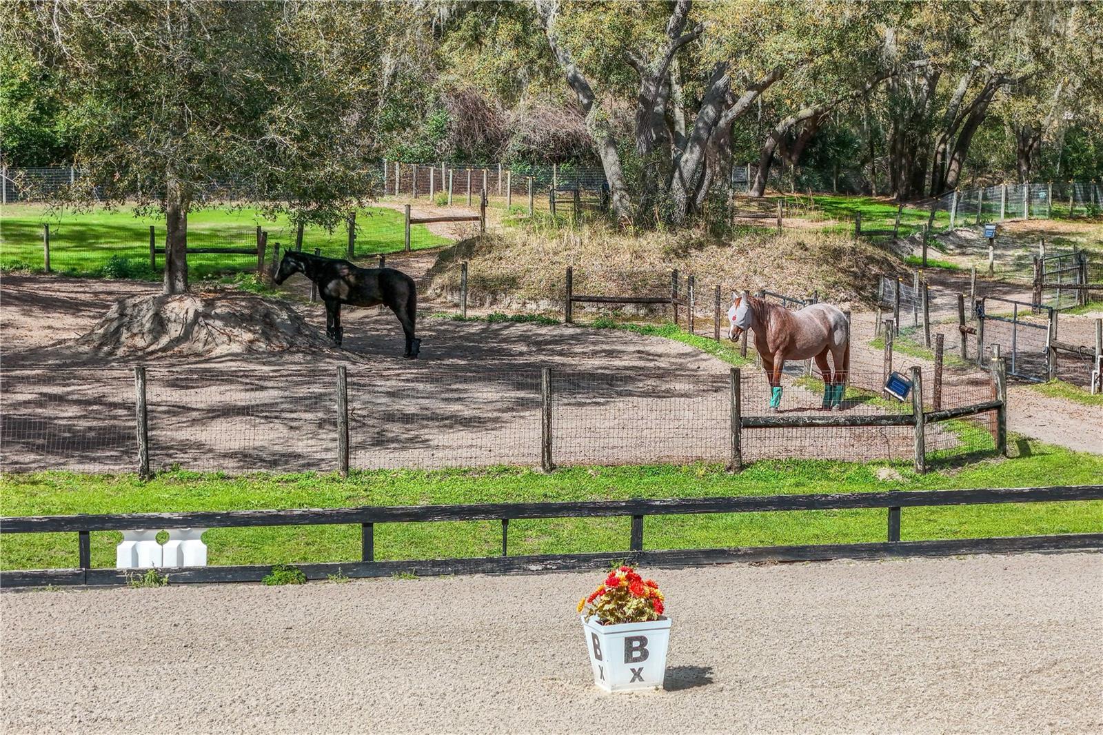 22301 CORONADO SOMERSET DR, SORRENTO, FL, 32776