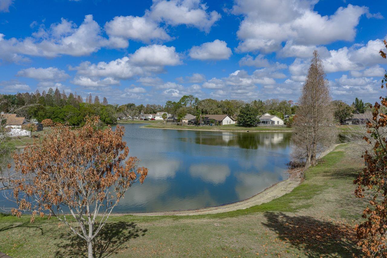 2104 HAYDON CT, BRANDON, FL, 33511