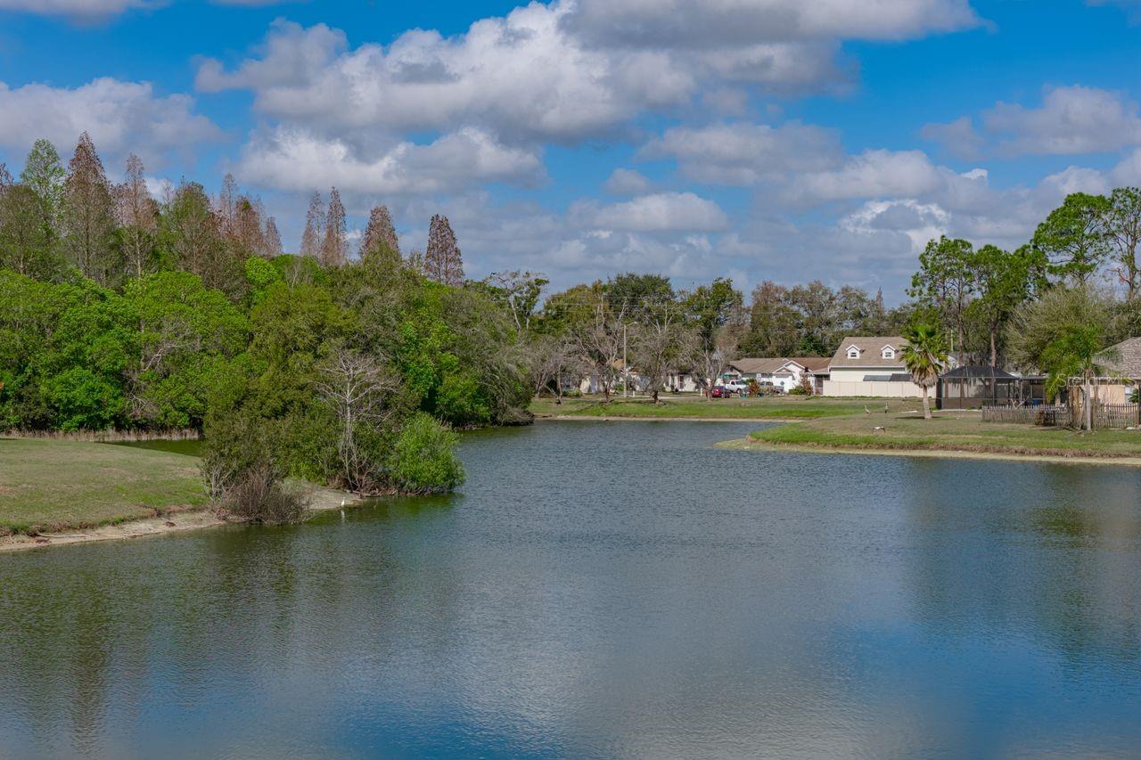 2104 HAYDON CT, BRANDON, FL, 33511