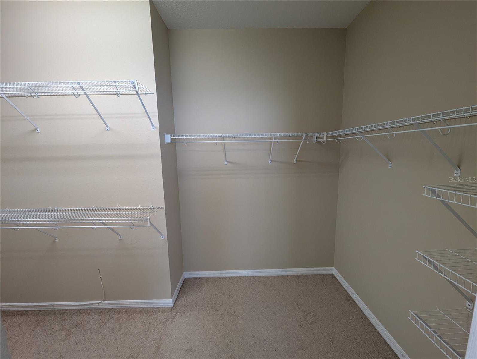 12717 AVELAR CREEK DR, RIVERVIEW, FL, 33578