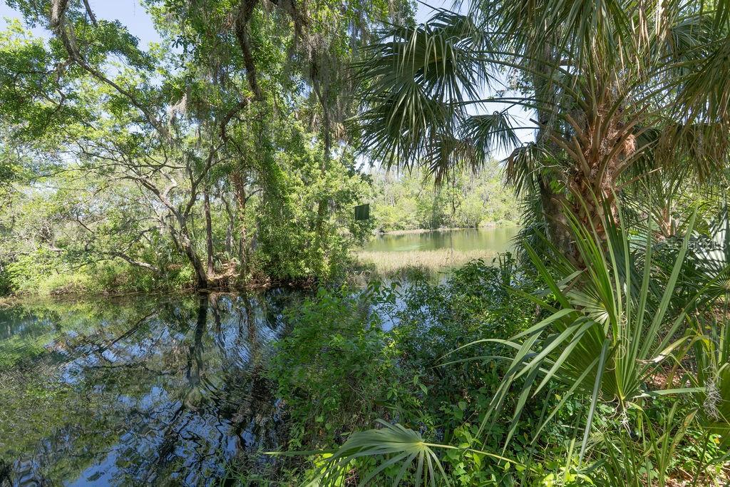 20940 SW 93RD LANE RD, DUNNELLON, FL, 34431