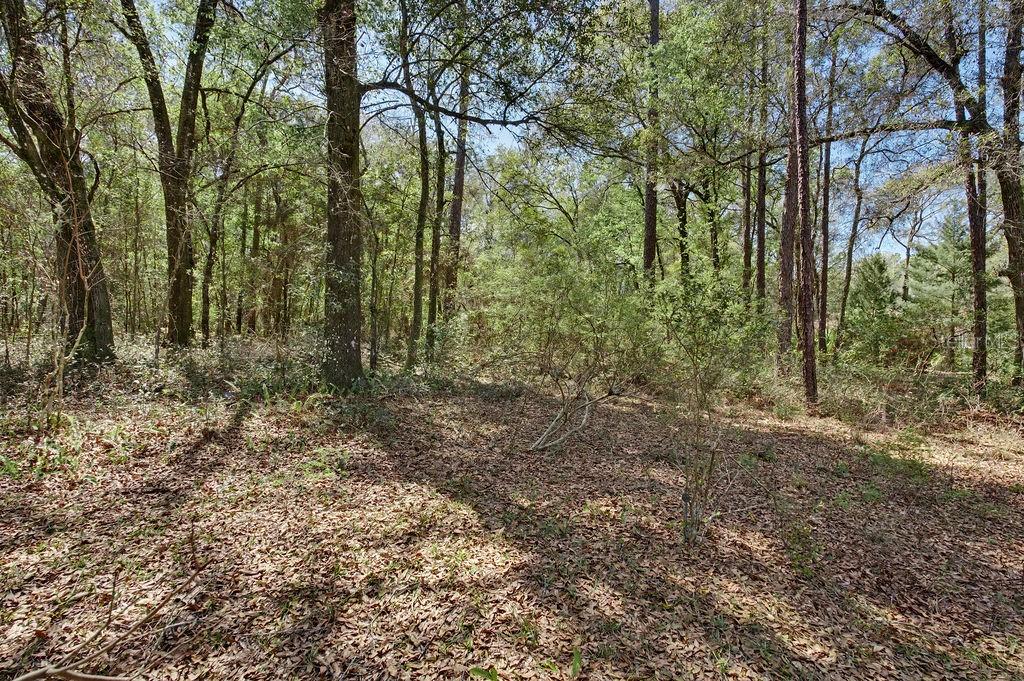 20940 SW 93RD LANE RD, DUNNELLON, FL, 34431