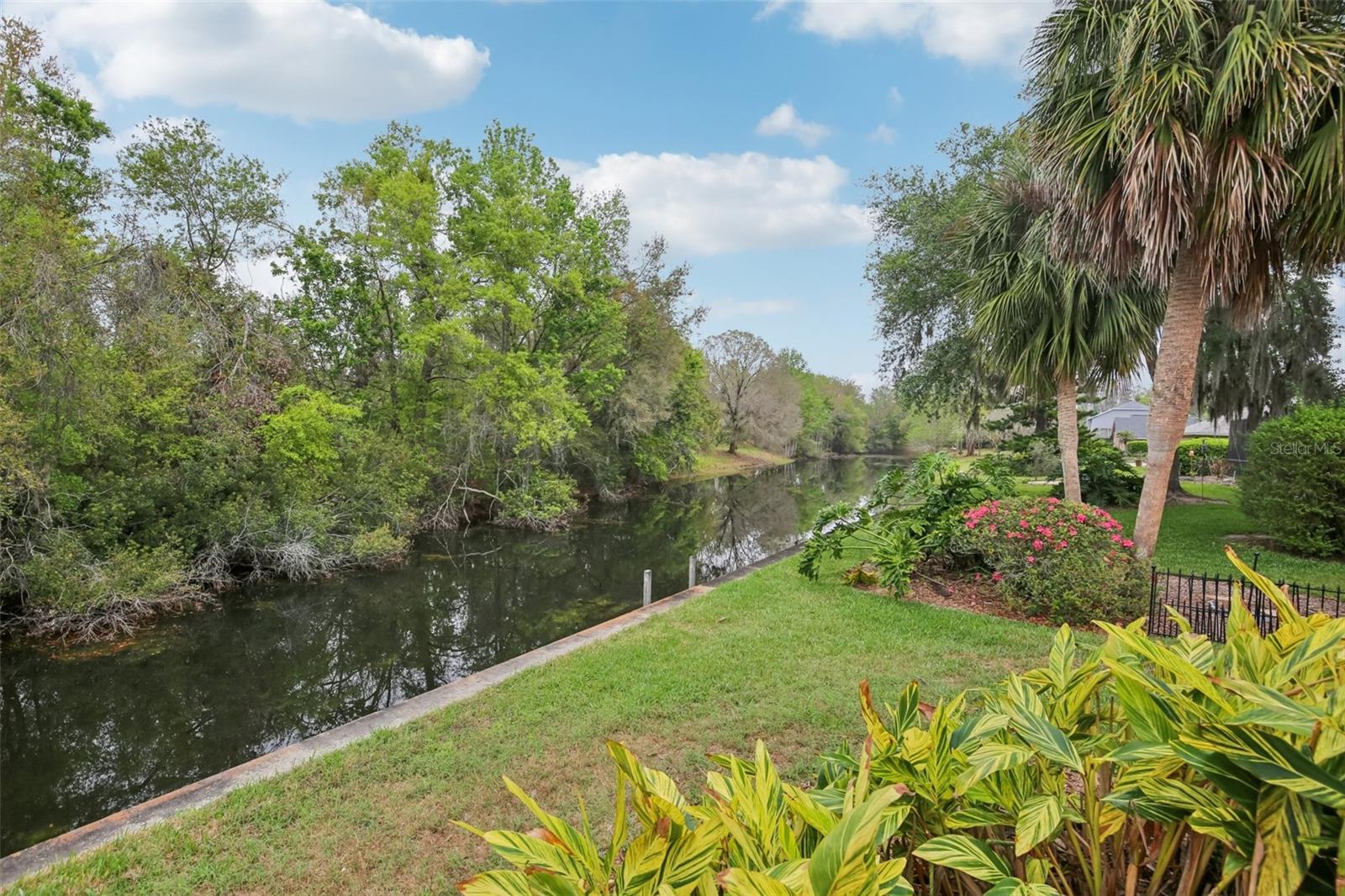 17913 CLEAR LAKE DR, LUTZ, FL, 33548