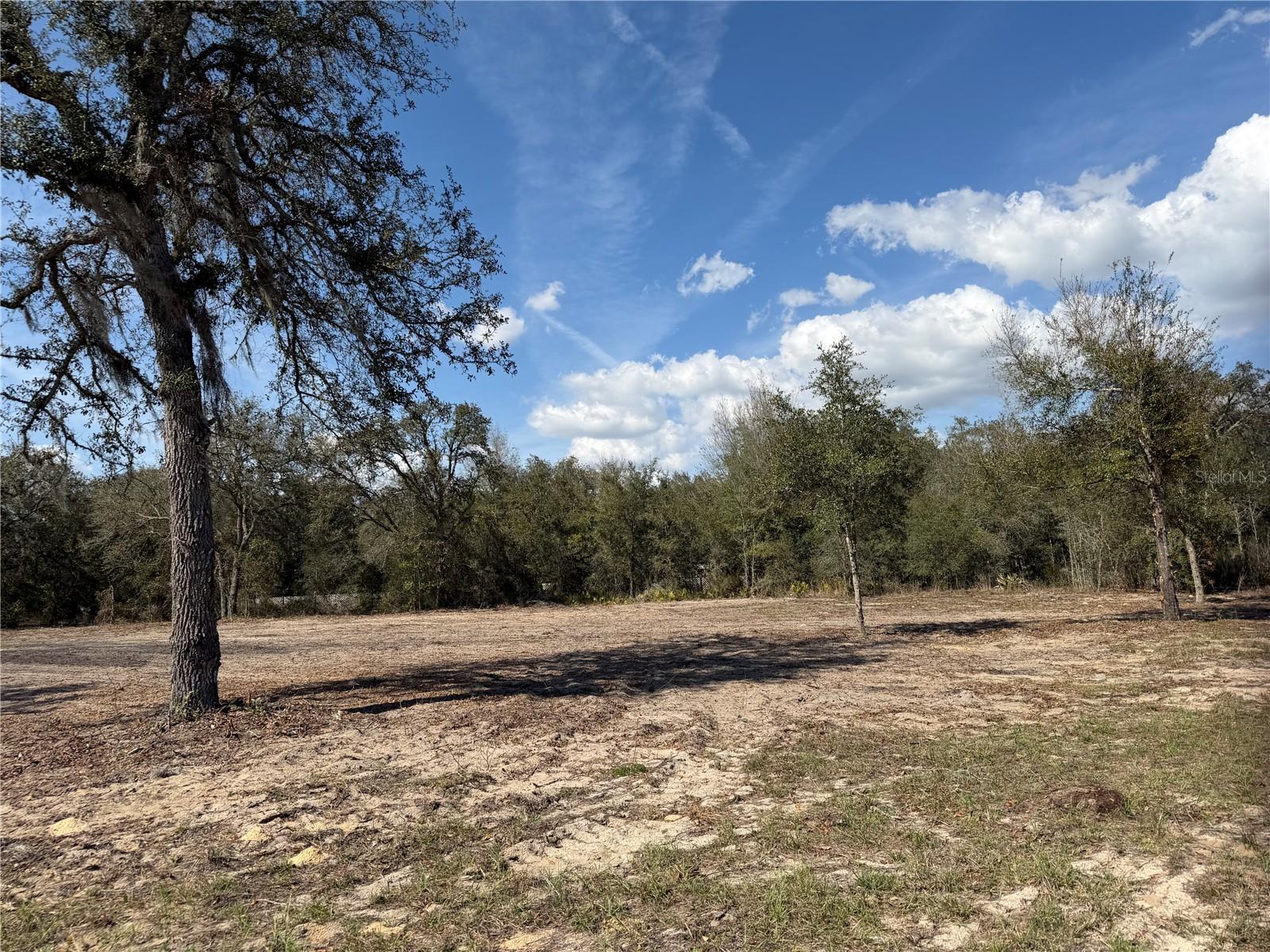 TBD NE 106TH TER, BRONSON, FL, 32621