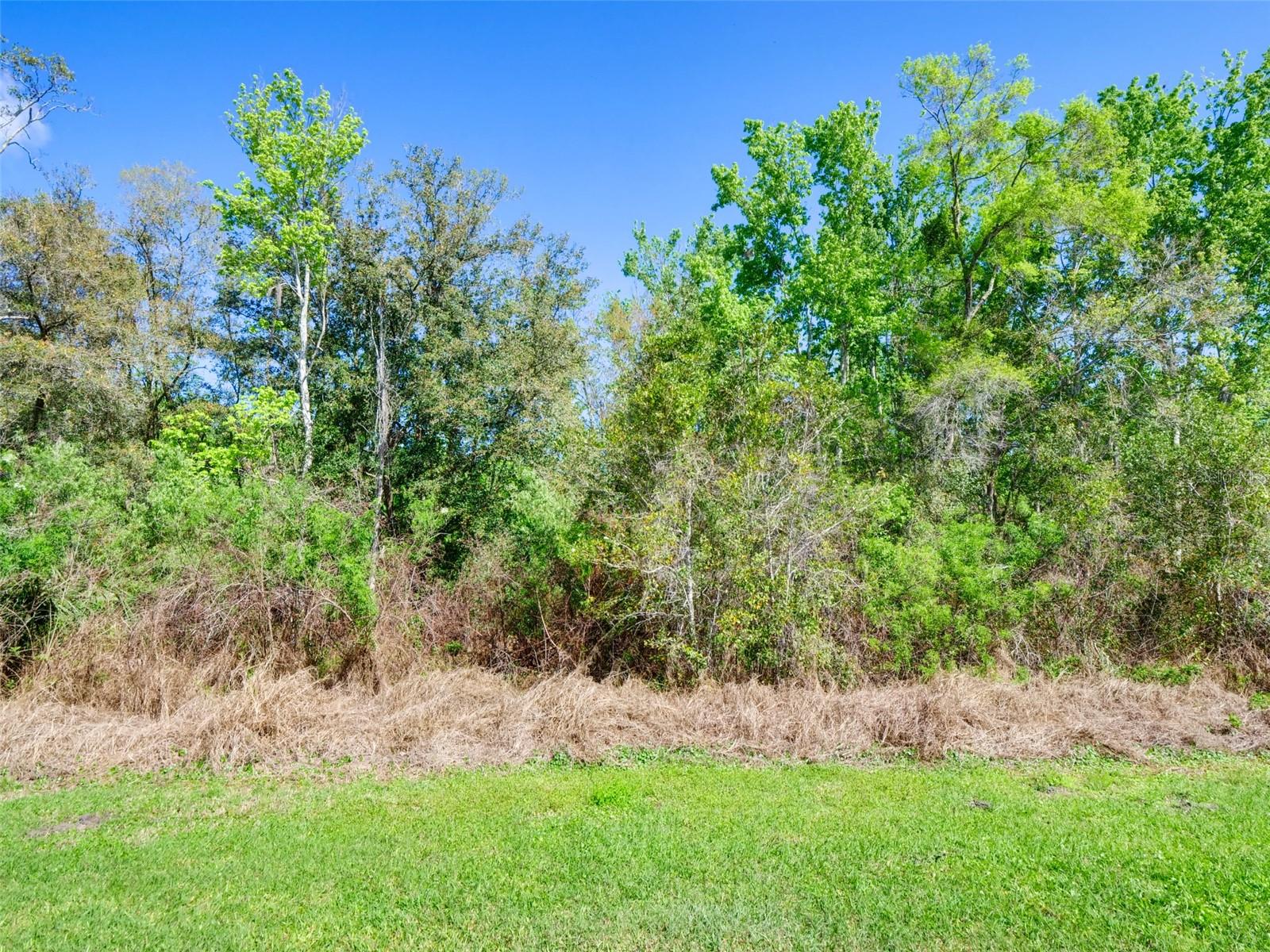 1289 YELLOW FINCH DR, DAVENPORT, FL, 33837