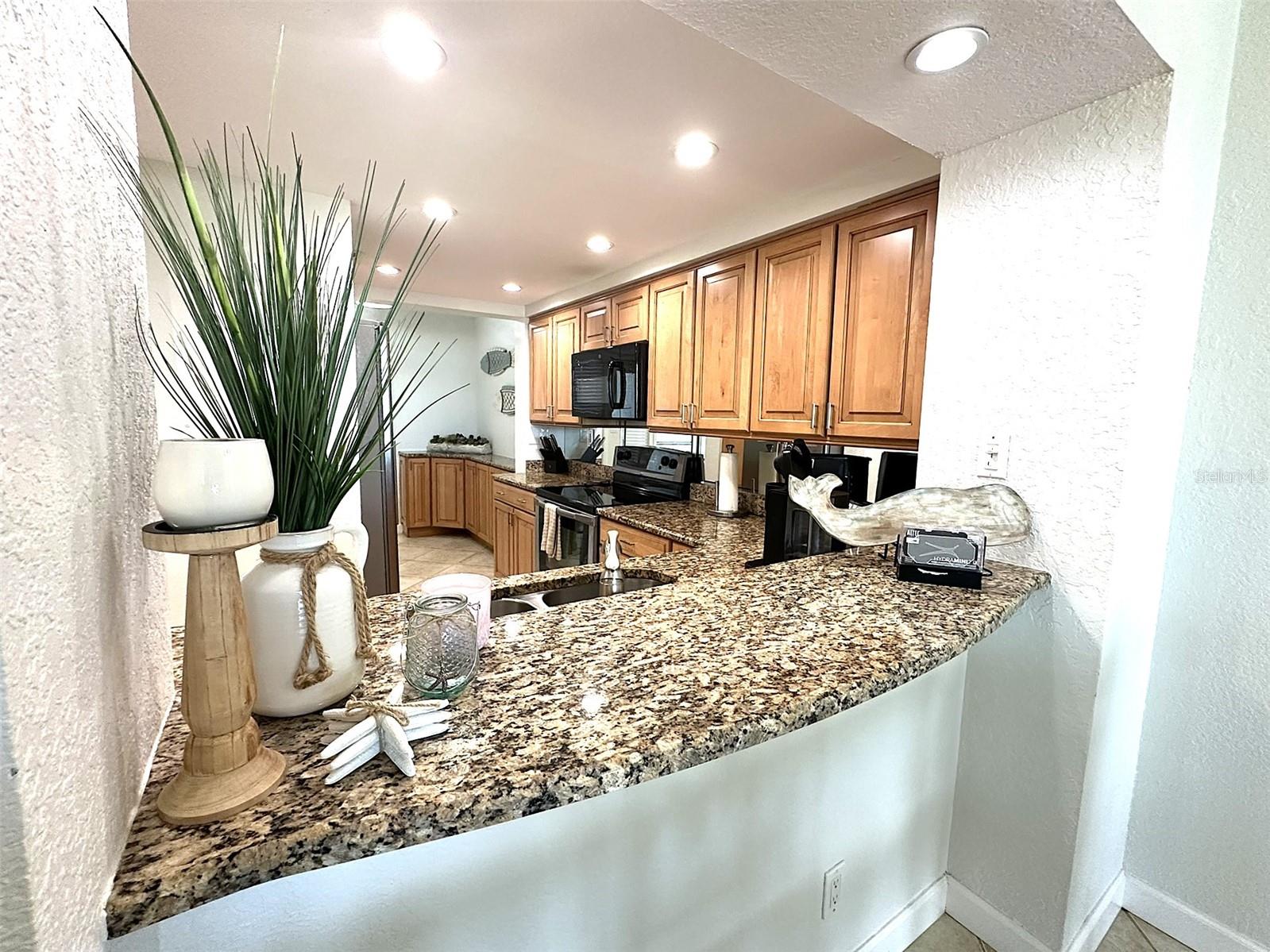 6081 BAHIA DEL MAR CIR #154, ST PETERSBURG, FL, 33715