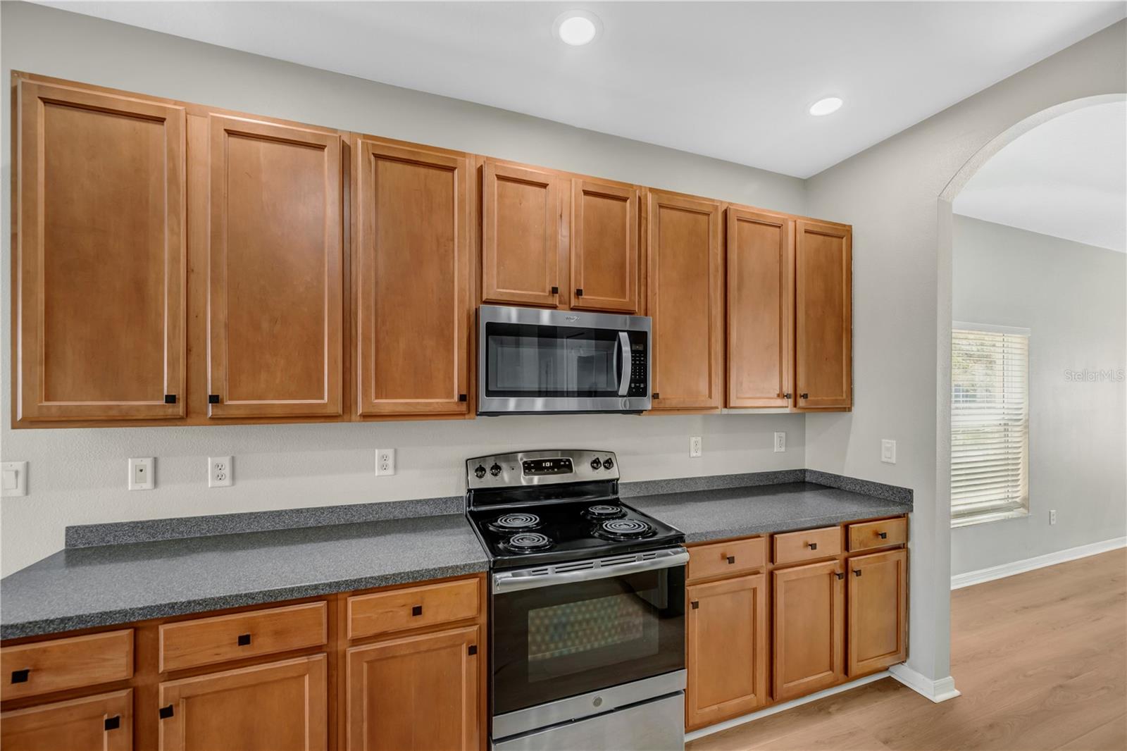 1834 MIRA LAGO CIR, RUSKIN, FL, 33570