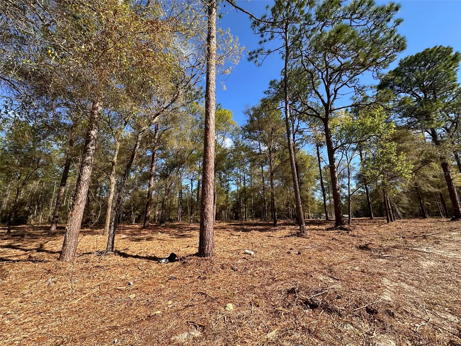 0 W HWY 40, OCALA, FL, 34481