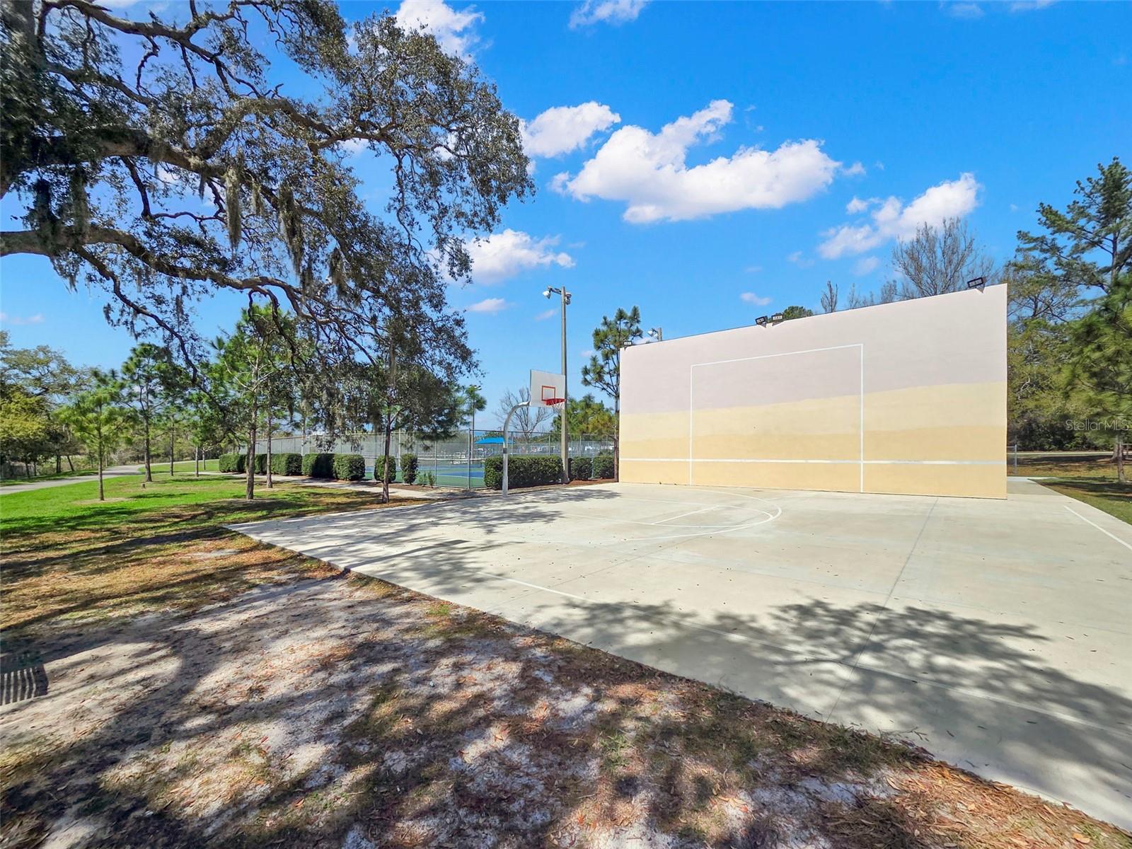 2221 TERRACE DR N, CLEARWATER, FL, 33765
