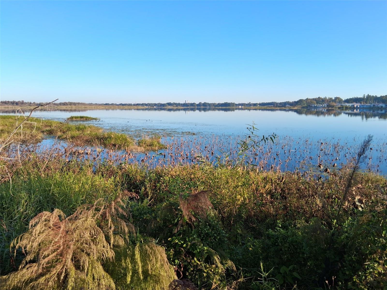 1836 N CRYSTAL LAKE DR #117, LAKELAND, FL, 33801