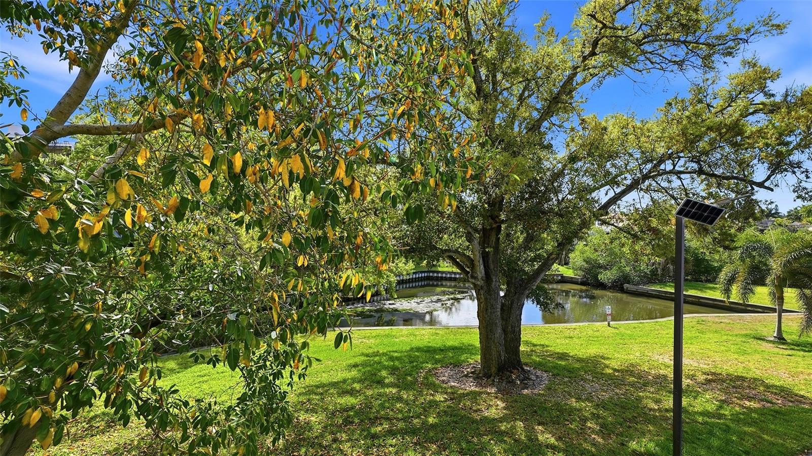 825 S OSPREY AVE #101, SARASOTA, FL, 34236