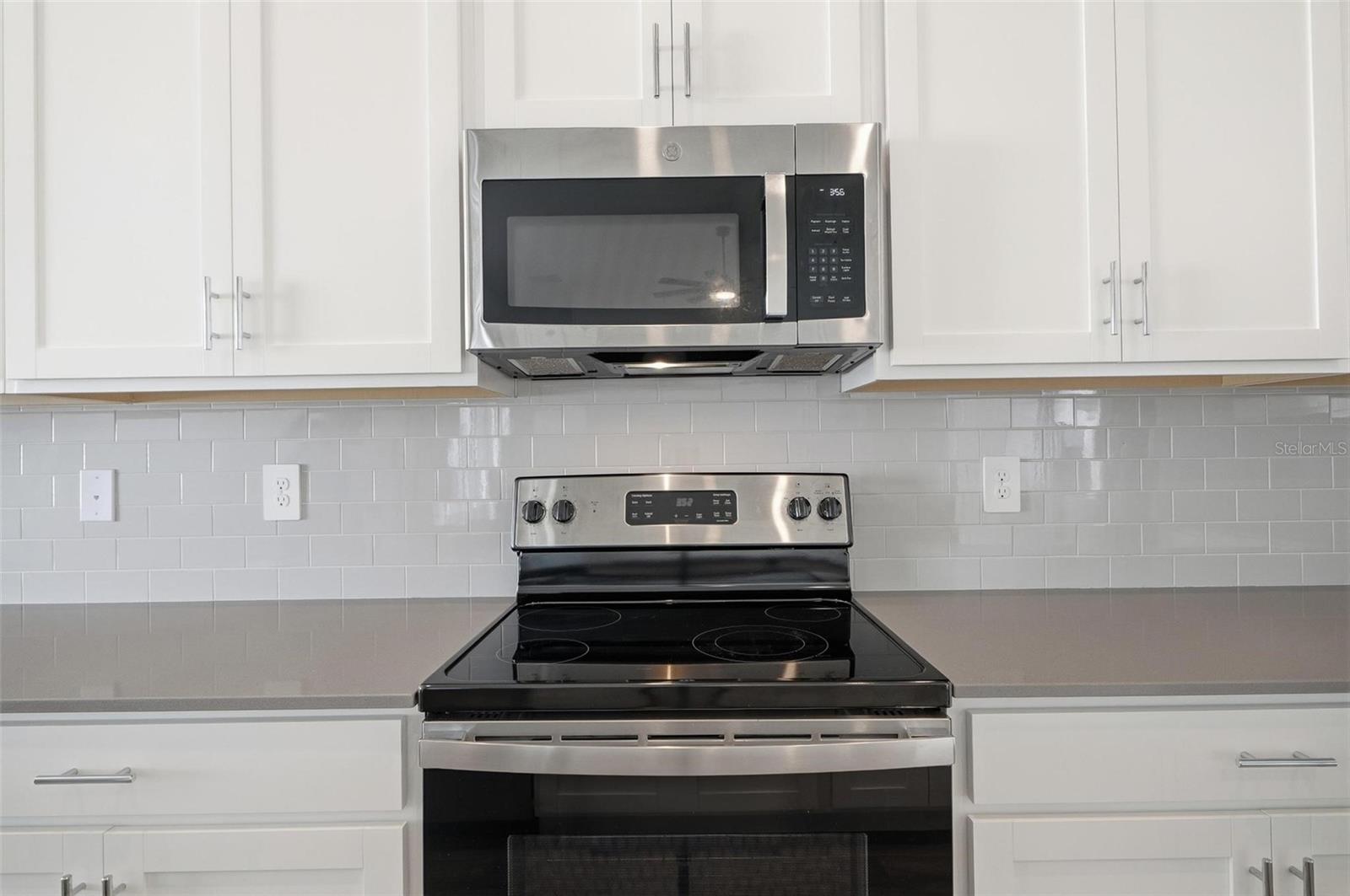 1923 PERCH HAMMOCK LOOP, GROVELAND, FL, 34736