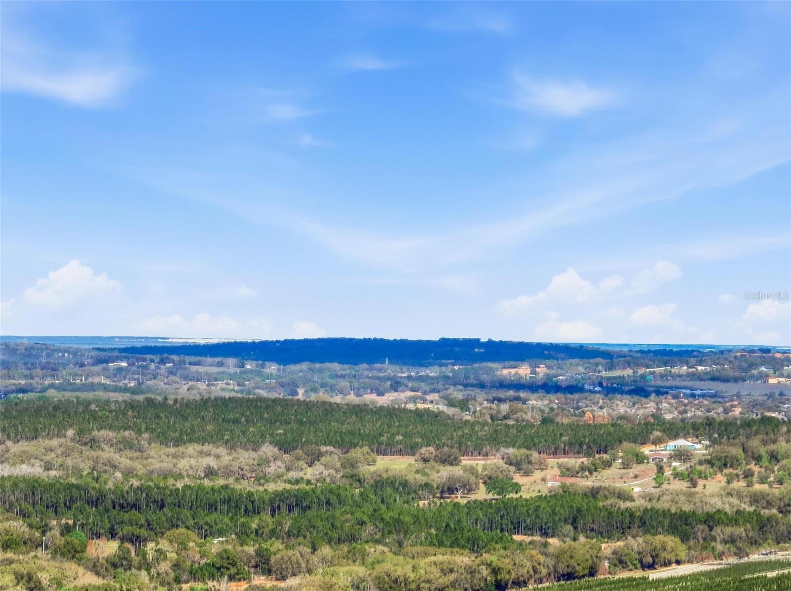 1923 PERCH HAMMOCK LOOP, GROVELAND, FL, 34736