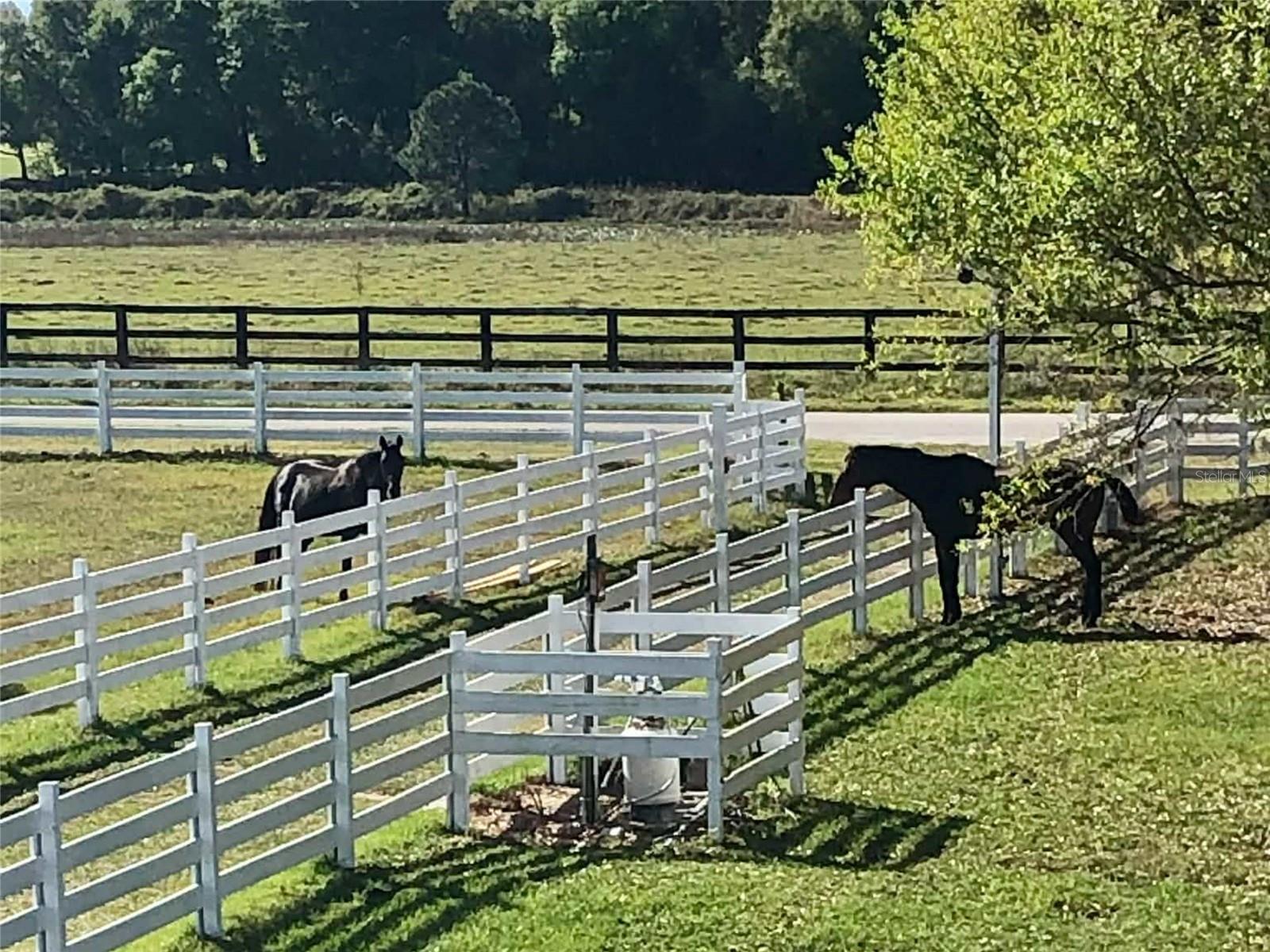 4015 INDIGO RD, GROVELAND, FL, 34736