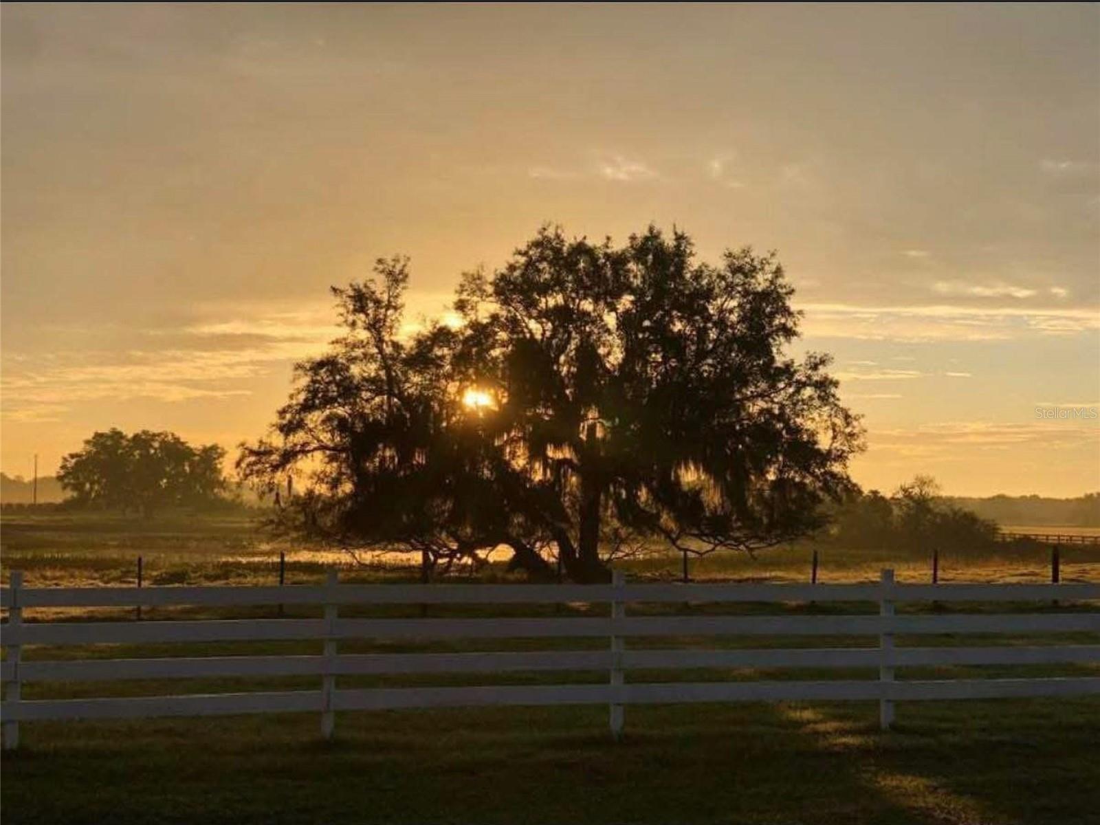 4015 INDIGO RD, GROVELAND, FL, 34736