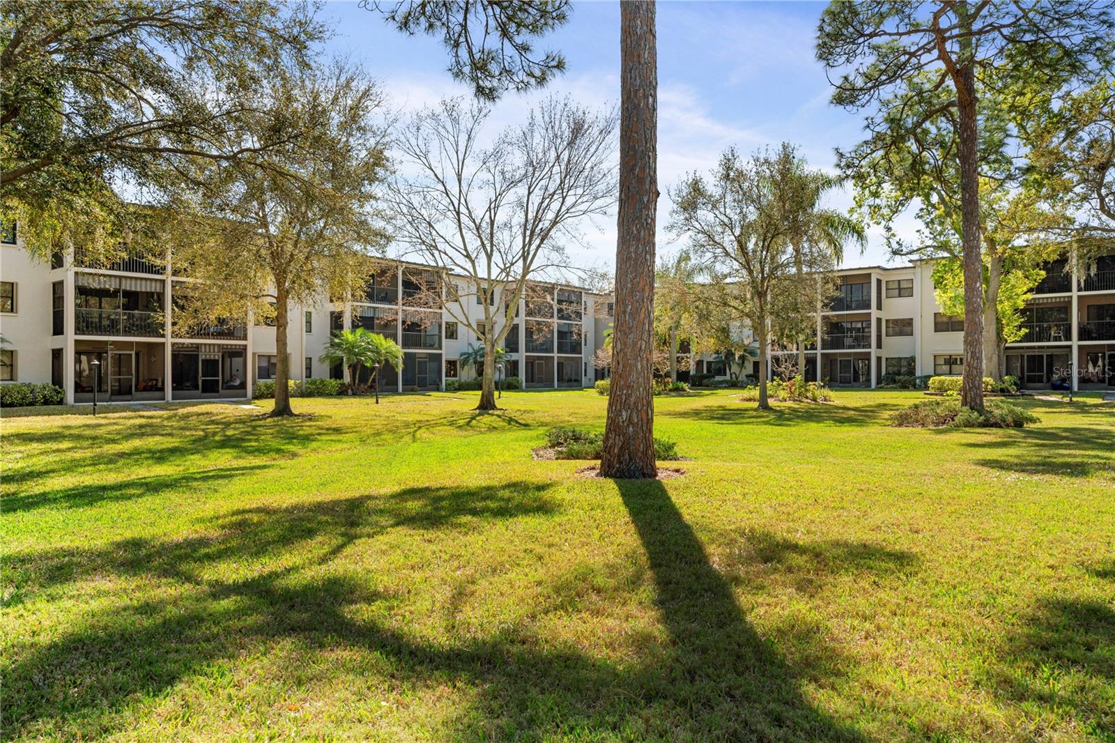 4910 BAY ST NE #311, ST PETERSBURG, FL, 33703