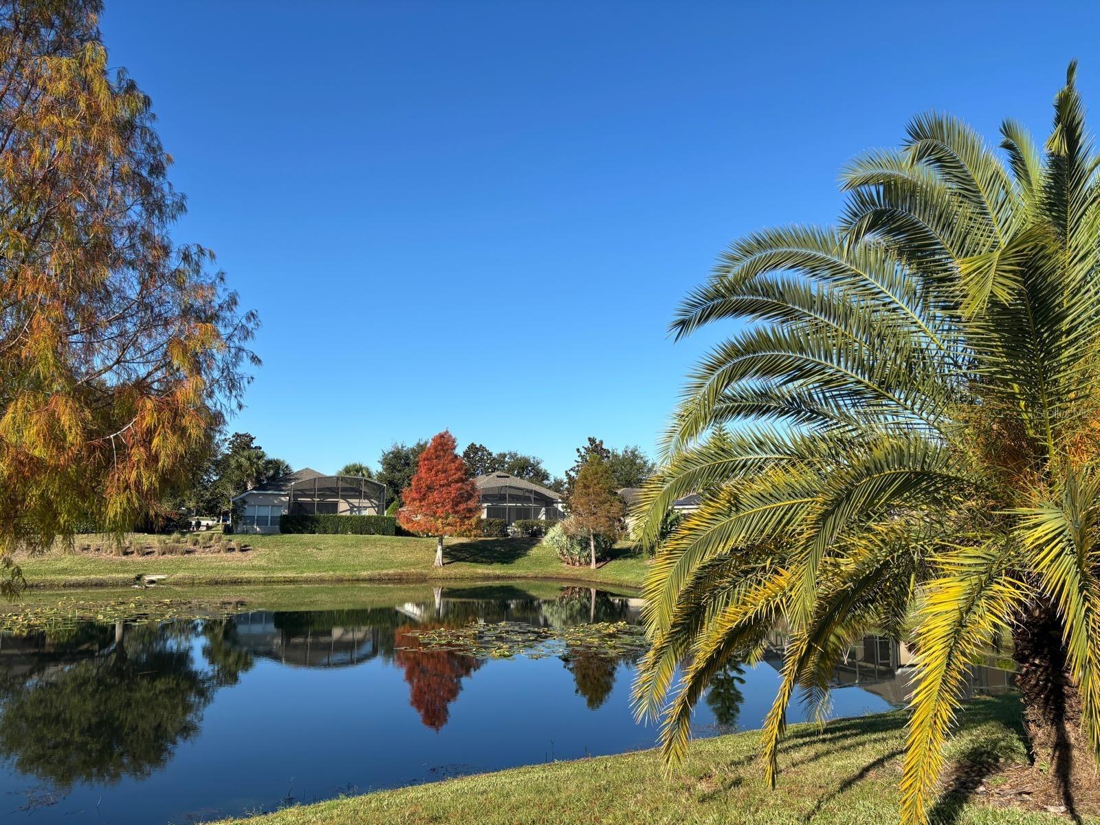 715 ASTURIAS RD, DAVENPORT, FL, 33837