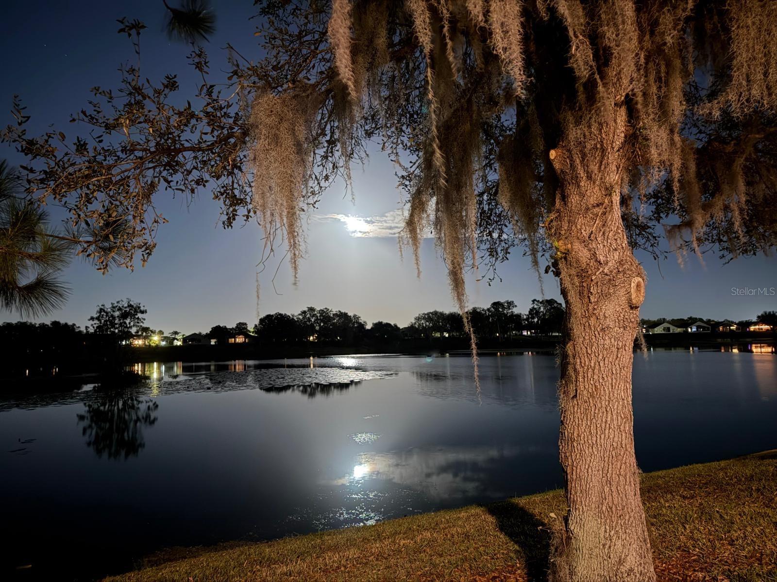 715 ASTURIAS RD, DAVENPORT, FL, 33837