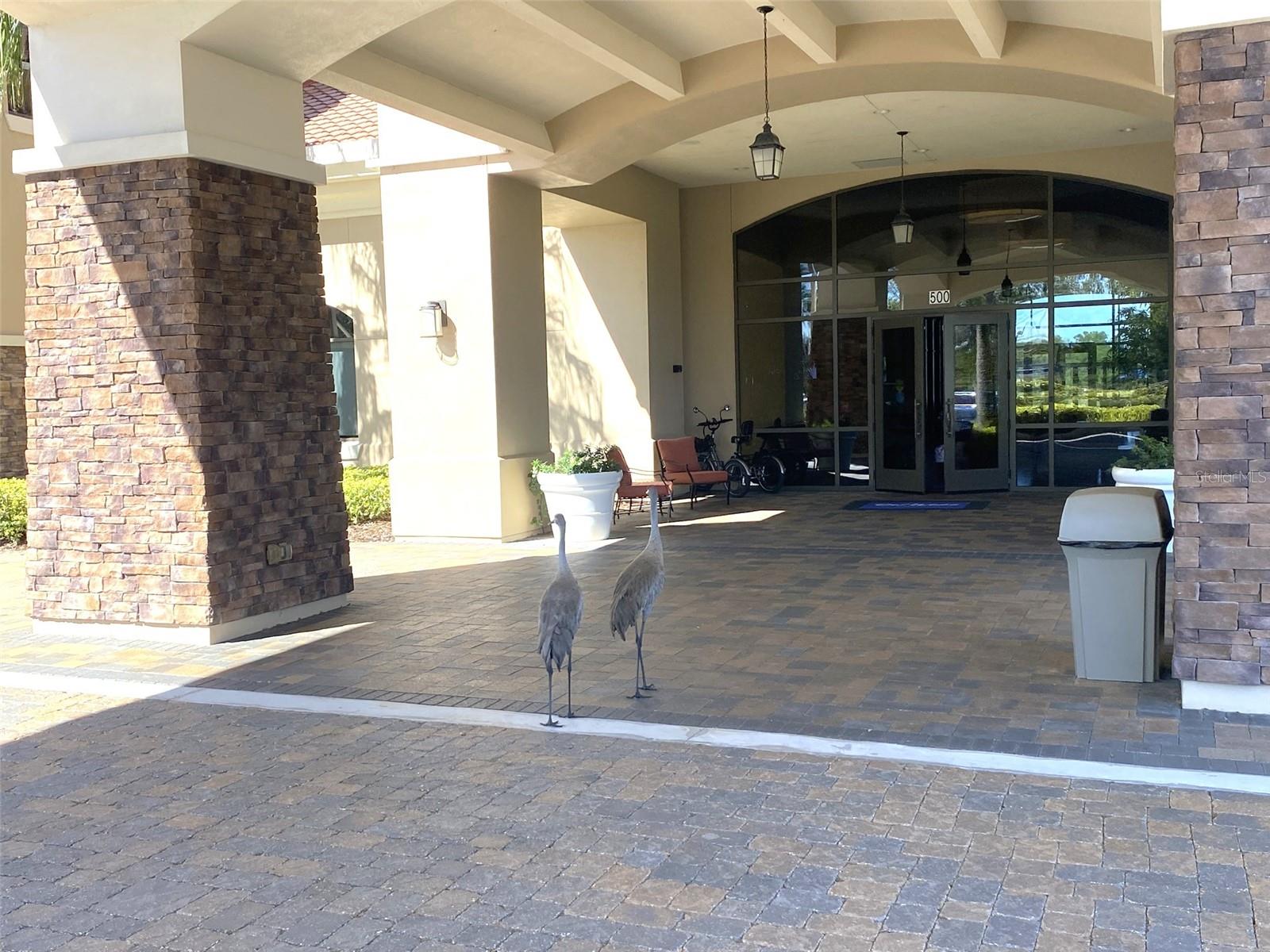 715 ASTURIAS RD, DAVENPORT, FL, 33837