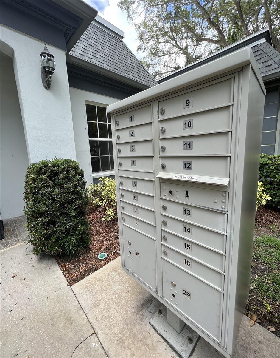 1217 N MCMULLEN BOOTH RD, CLEARWATER, FL, 33759