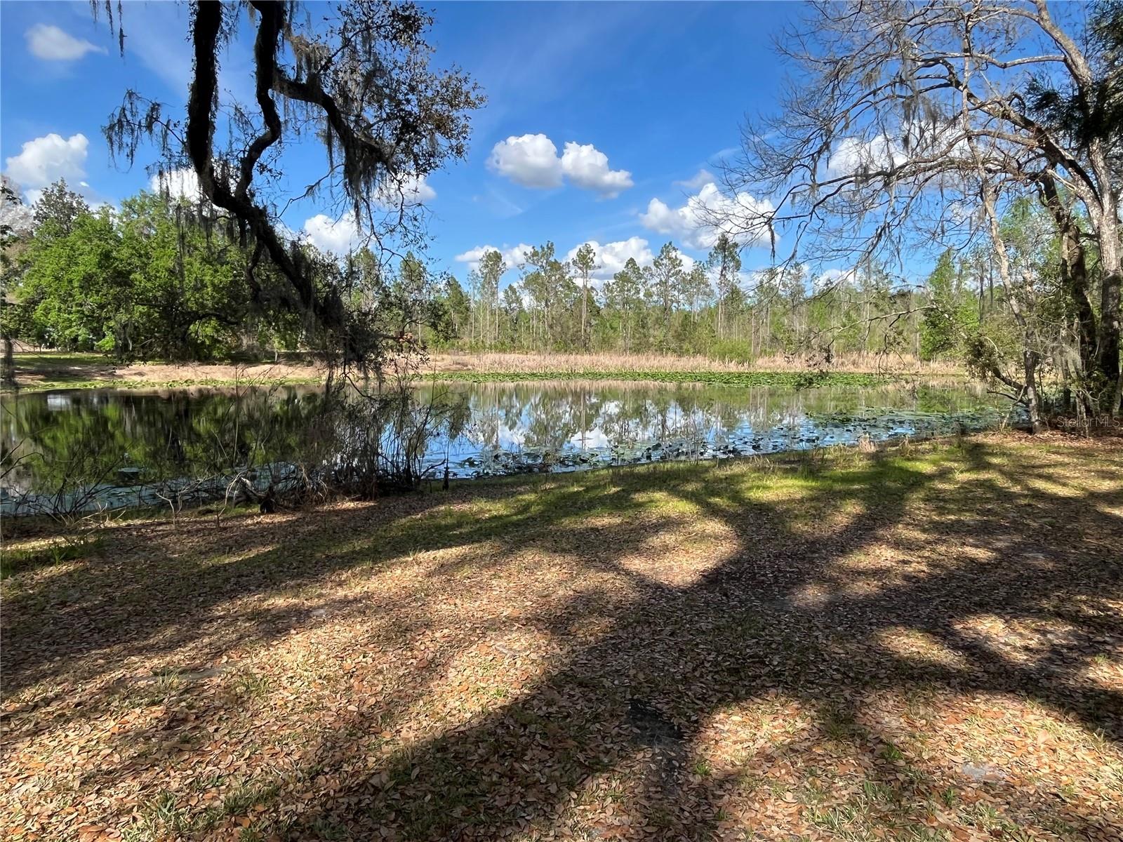 SR 471, WEBSTER, FL, 33597