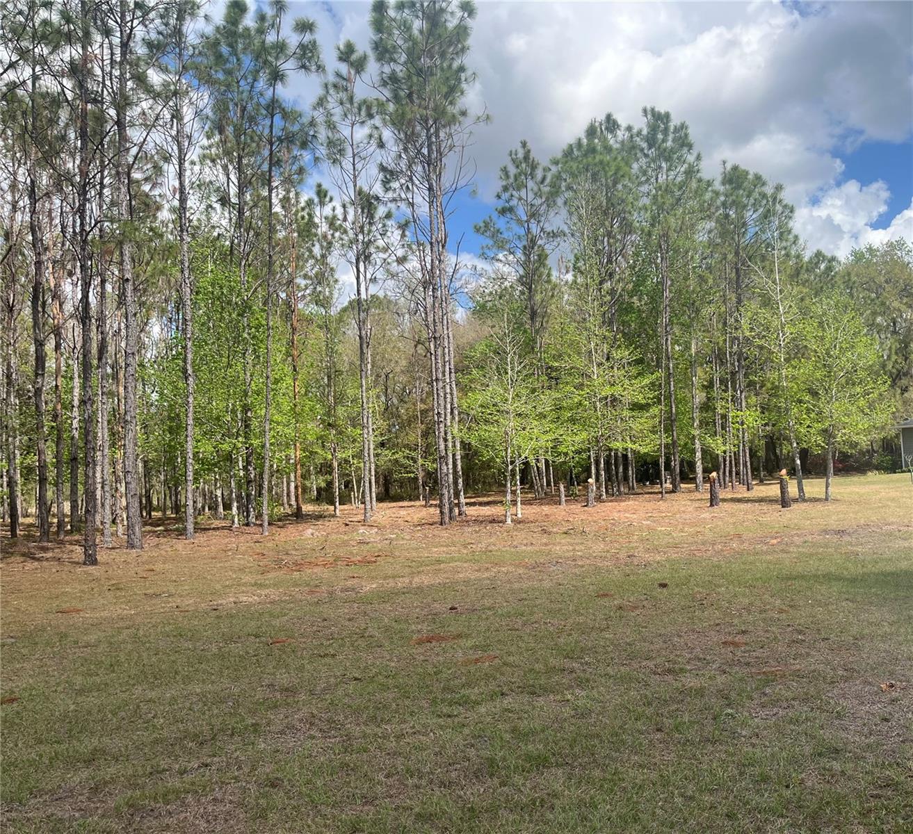 SR 471, WEBSTER, FL, 33597