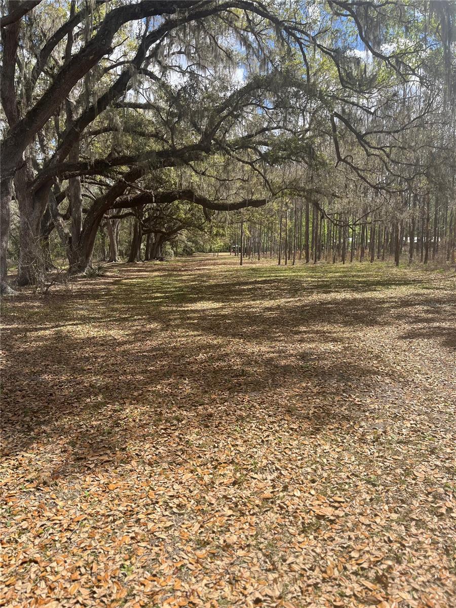 SR 471, WEBSTER, FL, 33597