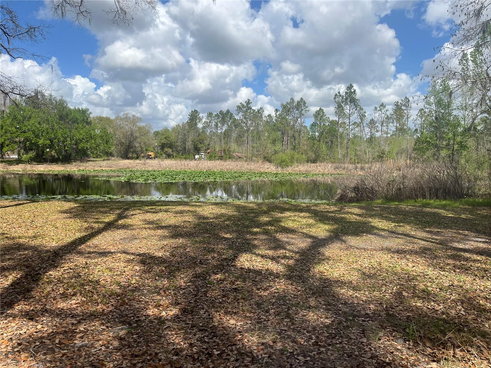 SR 471, WEBSTER, FL, 33597