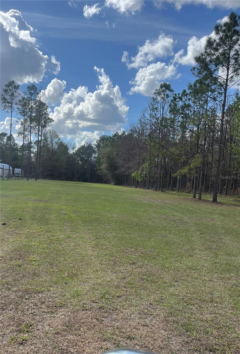 SR 471, WEBSTER, FL, 33597