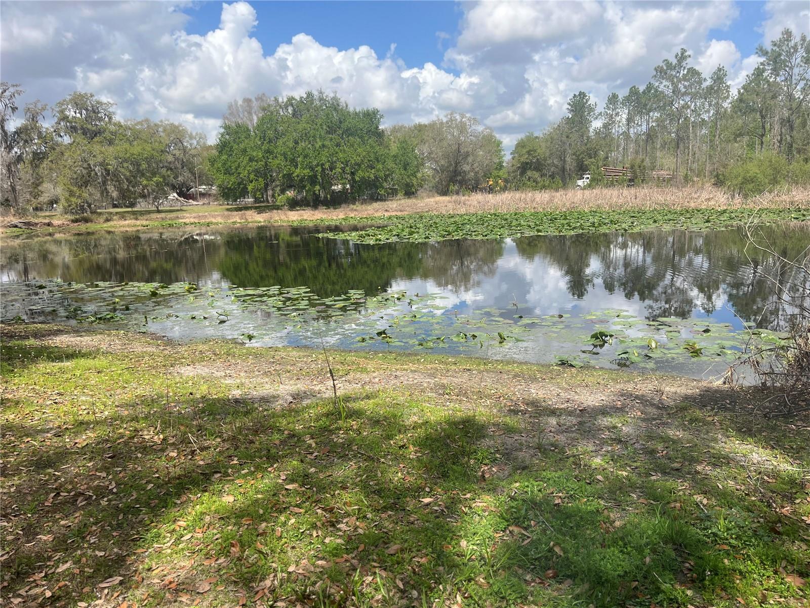 SR 471, WEBSTER, FL, 33597