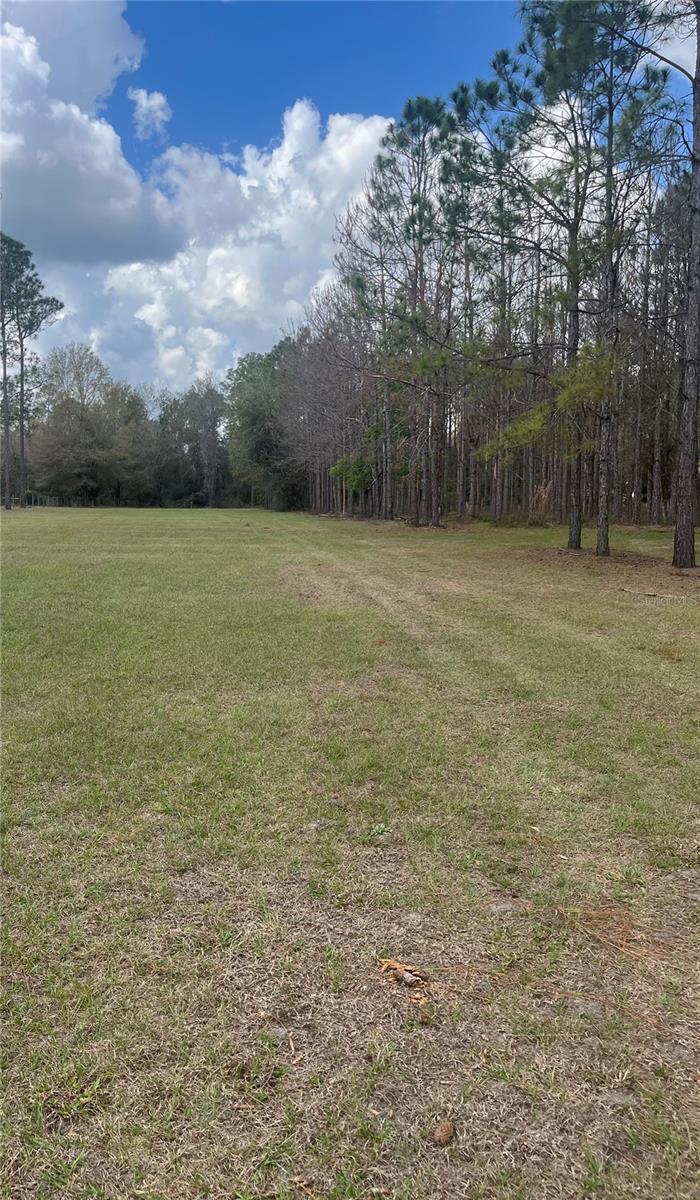 SR 471, WEBSTER, FL, 33597