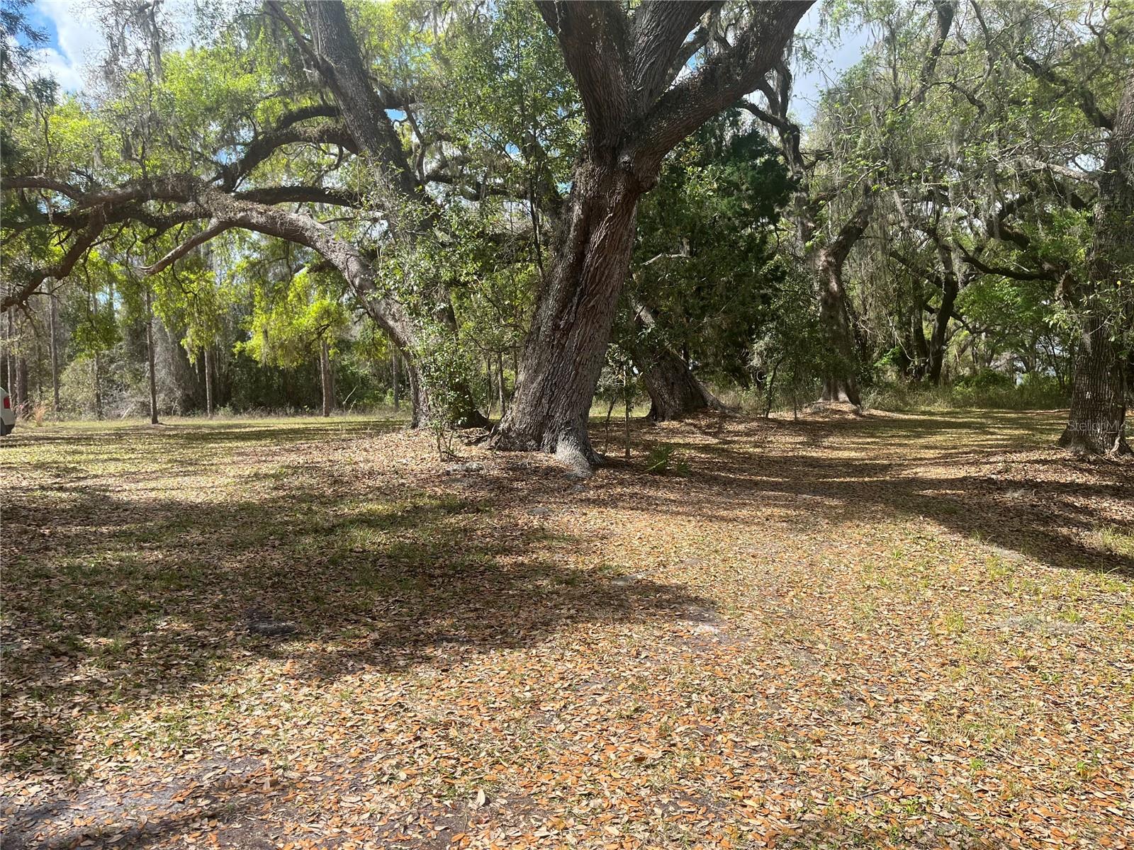 SR 471, WEBSTER, FL, 33597