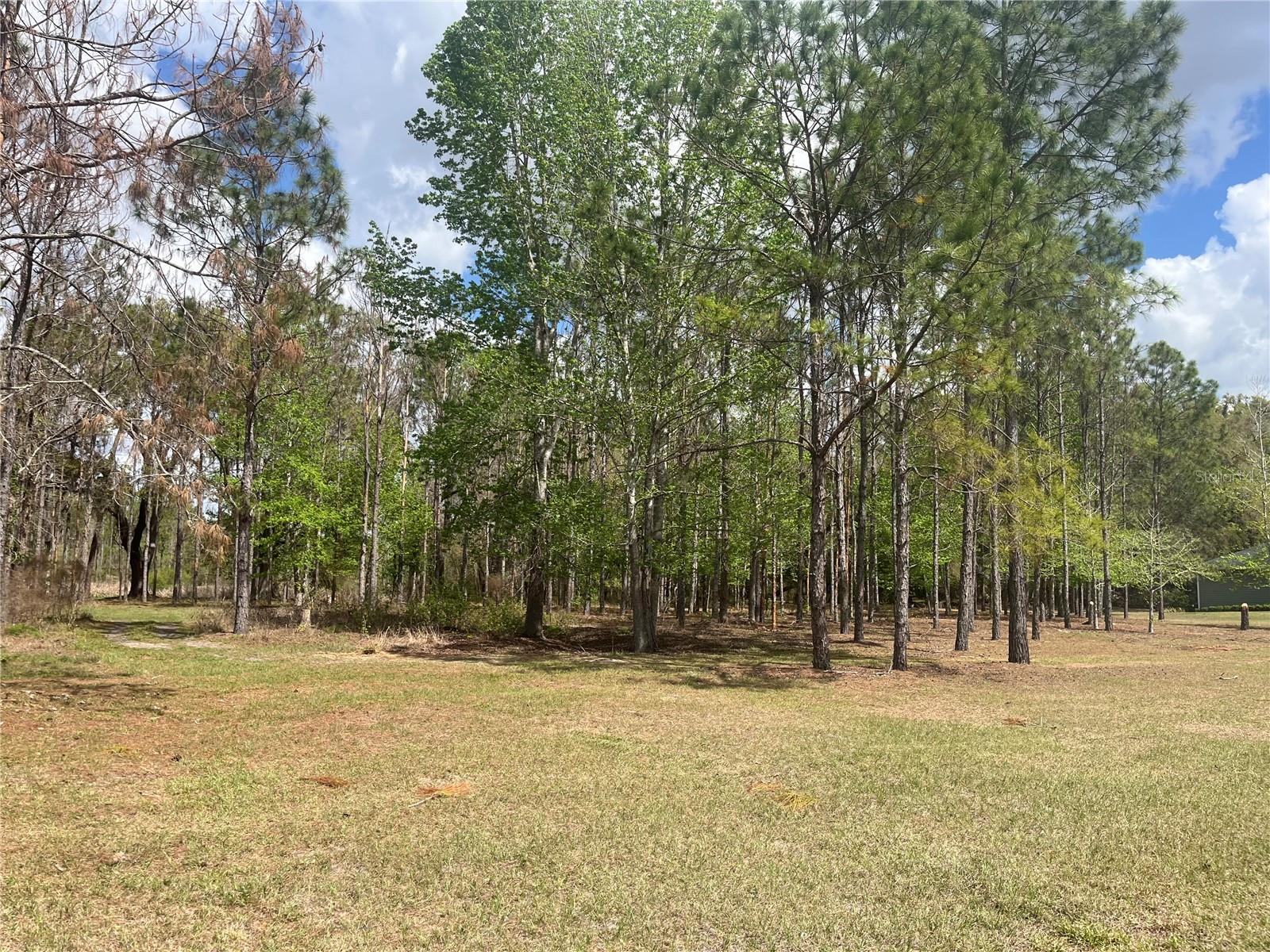 SR 471, WEBSTER, FL, 33597