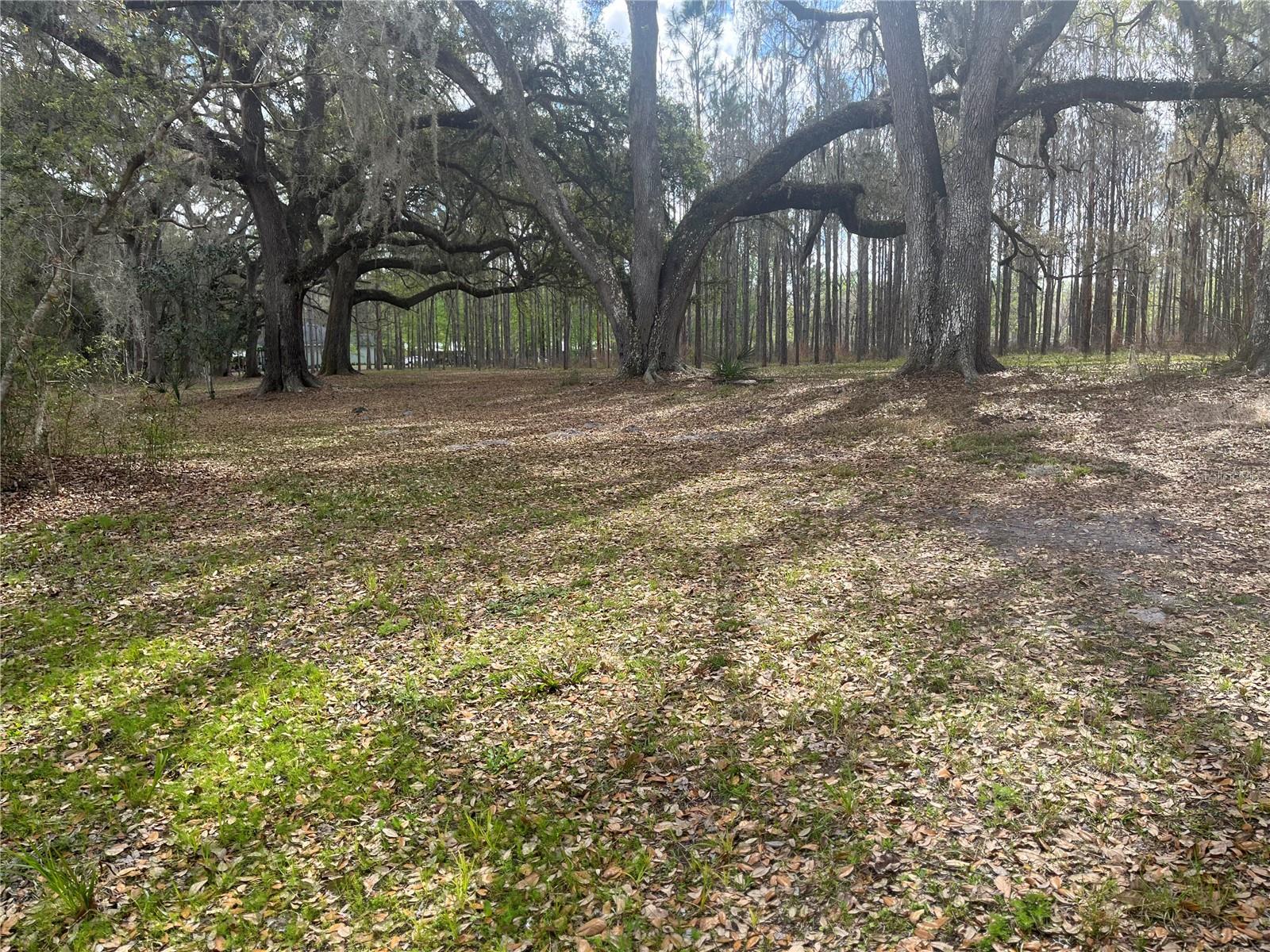 SR 471, WEBSTER, FL, 33597